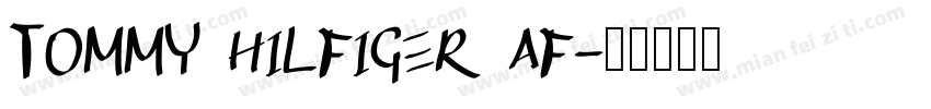 TOMMY HILFIGER AF字体转换